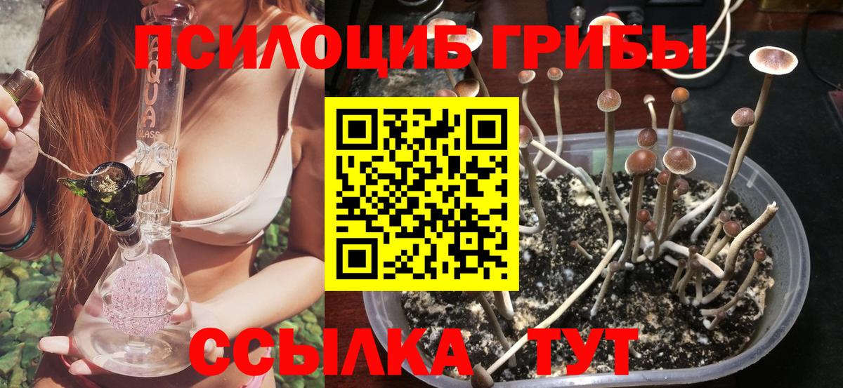Владимир  Псилоцибиновые грибы Magic Shrooms  Вход с VPN 